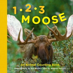 Bertrand.pt - 1, 2, 3 Moose