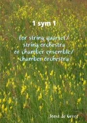 1 Sym 1 For String Quartet/String Orchestra Or Chamber Ensemble/Chamber Orchestra