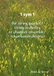 1 Sym 1 For String Quartet/String Orchestra Or Chamber Ensemble/Chamber Orchestra