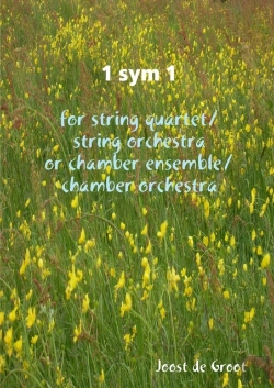 Bertrand.pt - 1 Sym 1 For String Quartet/String Orchestra Or Chamber Ensemble/Chamber Orchestra