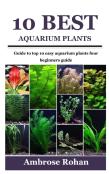 10 Best Aquarium Plants