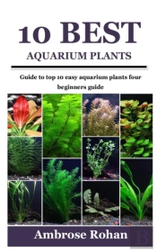 10 Best Aquarium Plants