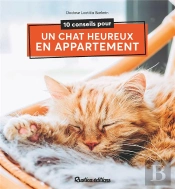 10 Conseils Pour Un Chat Heureux De Vivre En Appartement