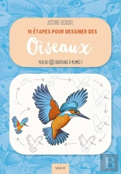 10 Étapes Pour Dessiner Des Oiseaux : Plus De 50 Créatures À Plumes !