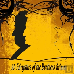 Bertrand.pt - 10 Fairytales Of The Brothers Grimm