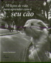 10 Lições de Vida para Aprender com o Seu Cão