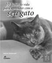10 Lições de Vida para Aprender com o Seu Gato