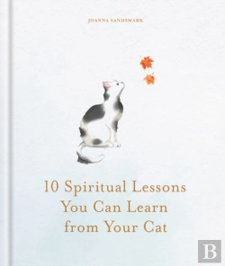 Bertrand.pt - 10 Spiritual Lessons You Can Learn From Your Cat