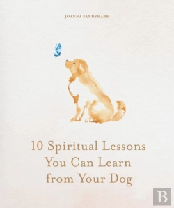 Bertrand.pt - 10 Spiritual Lessons You Can Learn From Your Dog