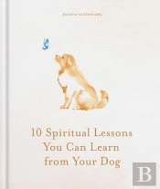 10 Spiritual Lessons You Can Learn From Your Dog
