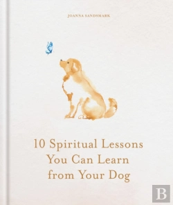 Bertrand.pt - 10 Spiritual Lessons You Can Learn From Your Dog