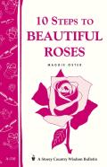 10 Steps To Beautiful Roses