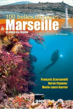 Bertrand.pt - 100 Belles Plongees A Marseille Et Dans Sa Region