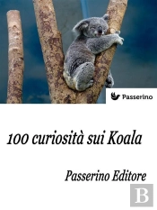 100 Curiosità Sui Koala