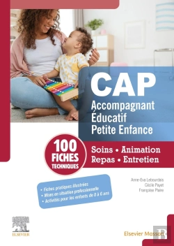 Bertrand.pt - 100 Fiches Techniques Cap Accompagnant Éducatif Petite Enfance ; Soins, Animation, Repas, Entretien