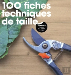 Bertrand.pt - 100 Fiches Techniques De Taille