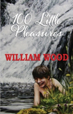 Bertrand.pt - 100 Little Pleasures