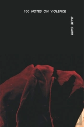 100 Notes On Violence