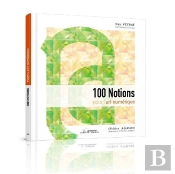 100 Notions Pour L'Art Numerique