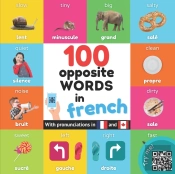 100 Opposite Words In French