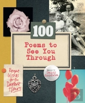 100 Poems To See You Through