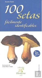 100 Setas Fácilmente Identificables