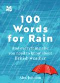 100 Words For Rain