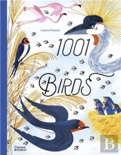 1001 Birds