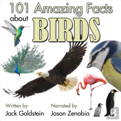 Bertrand.pt - 101 Amazing Facts About Birds