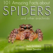 101 Amazing Facts About Spiders