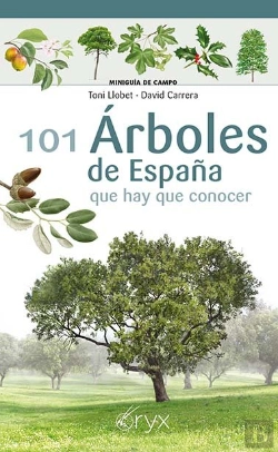 Bertrand.pt - 101 Arboles De España Que Hay De Conocer