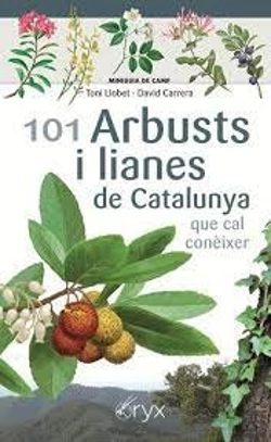 Bertrand.pt - 101 Arbusts I Lianes De Catalunya Que Cal Coneixer Catalan