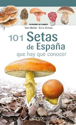 Bertrand.pt - 101 Setas De España