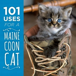 Bertrand.pt - 101 Uses For A Maine Coon Cat