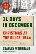 11 Days In December