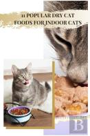 11 Popular Dry Cat Foods For Indoor Cats