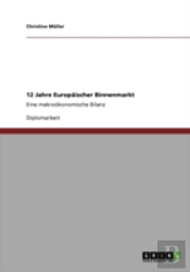 12 Jahre Europaischer Binnenmarkt