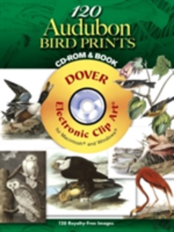 Bertrand.pt - 120 Audubon Bird Prints