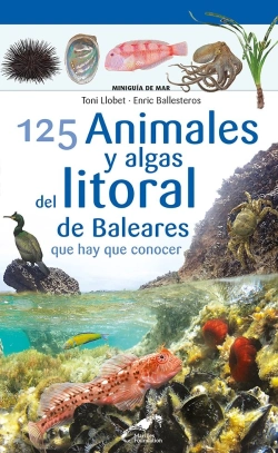 Bertrand.pt - 125 Animales Y Algas Del Litoral De Baleares Que Hay Que Conocer