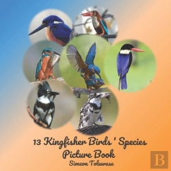 Bertrand.pt - 13 Kingfisher Birds' Species Picture Book
