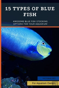 Bertrand.pt - 15 Types Of Blue Fish