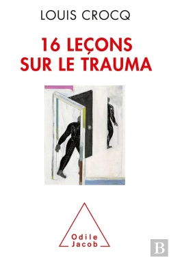 Bertrand.pt - 16 Leçons Sur Le Trauma