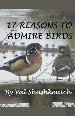 Bertrand.pt - 17 Reasons To Admire Birds