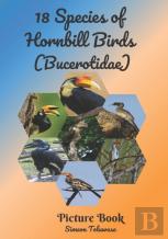 18 Species Of  Hornbill Birds (Bucerotidae) Picture Book