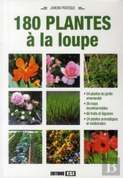 180 Plantes A La Loupe