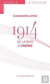 1914 : De La Paix À L'Abîme