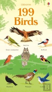 199 Birds