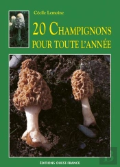 20 Champignons Pour Toute L'Année