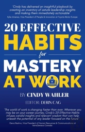 20 Effective Habits For Mastery At Work