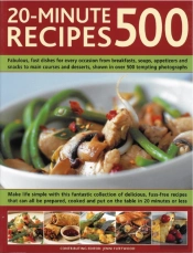 20-Minute Recipes 500